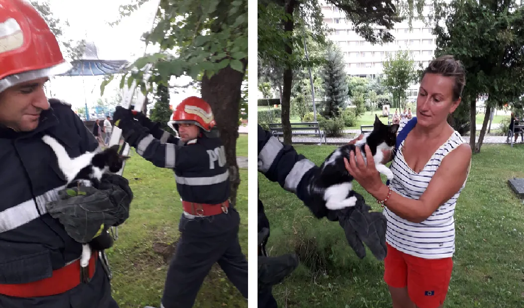 O pisică a fost salvată de pompieri