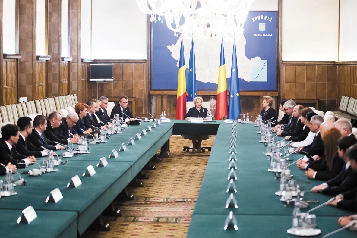 Pesta porcină africană de la Tulcea a ajuns pe masa Guvernului!