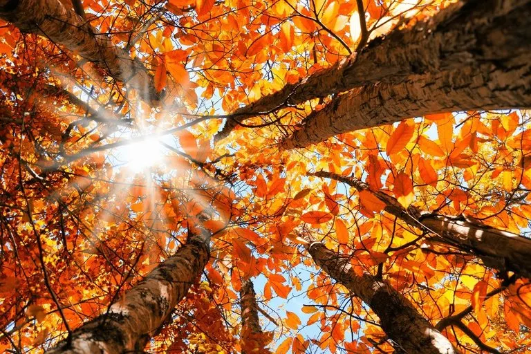 Vremea în următoarele săptămâni din septembrie