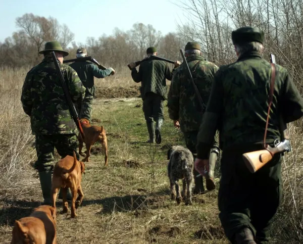 Luni începe vânătoarea în deltă la mistreț și șacal