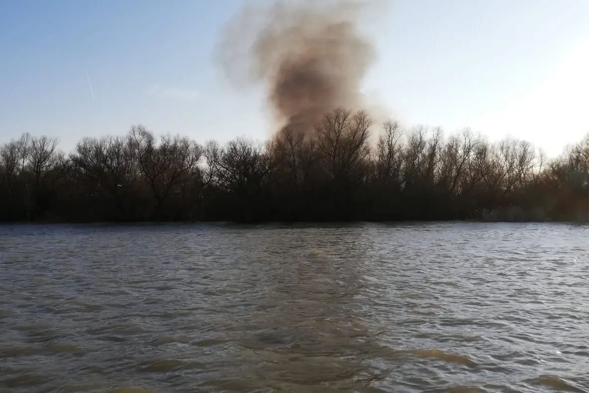Incediu într-o zonă strict protejată din Delta Dunării