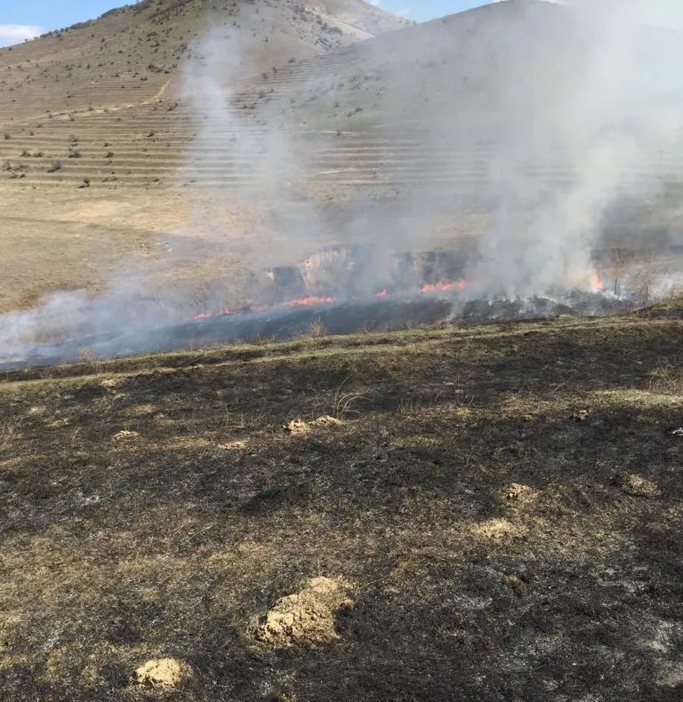 Incendii de vegetaţie uscată la Beştepe şi suburbia Tudor Vladimirescu