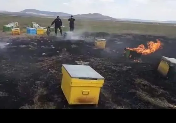 Stupi cu albine salvați din incendiu de ... jandarmi