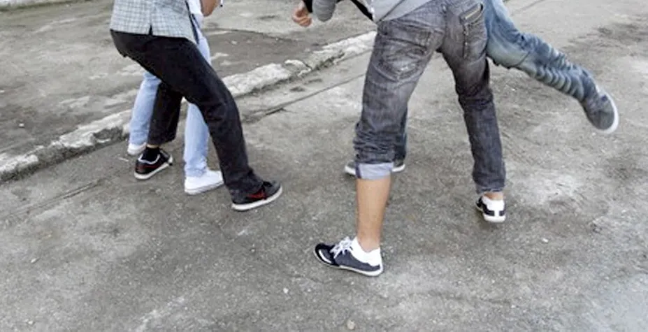 Bilanţ pozitiv la Inspectoratul Şcolar: Scădere dramatică a cazurilor de violenţă în şcolile tulcene