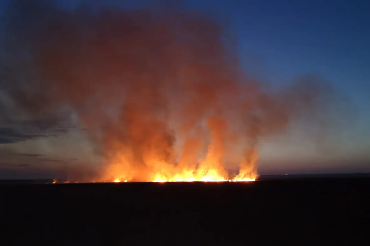 Incendiu la Smârdan lângă un rastel cu 21 de butelii GPL!
