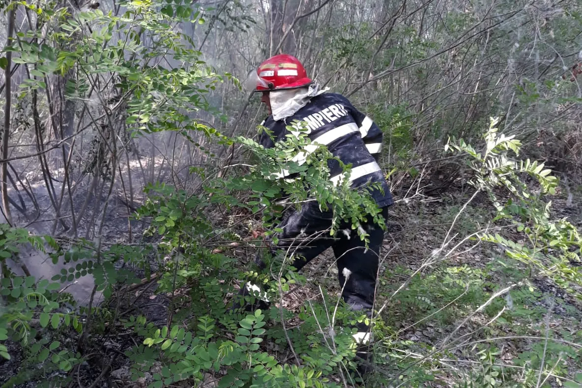 Atenționare și pentru Tulcea: Incendiu de la puf de plop la I.C. Brătianu!