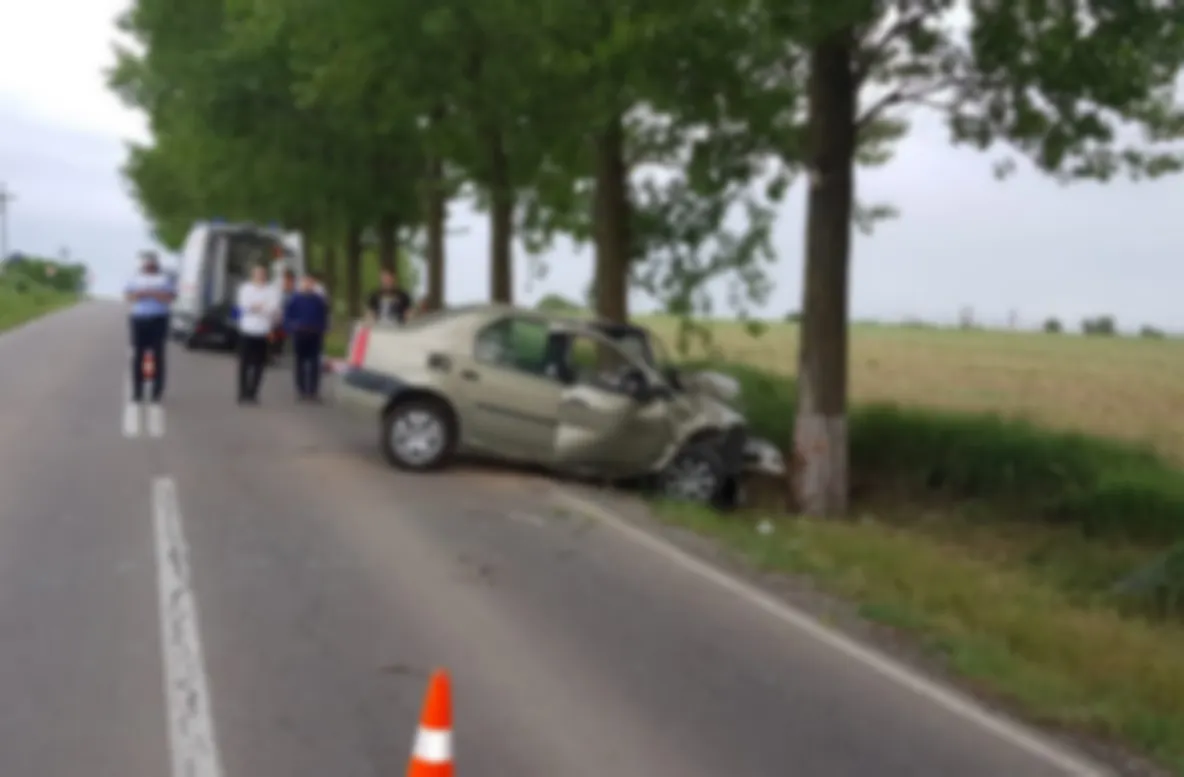 Un tânăr de 19 ani s-a înfipt cu mașina într-un copac, pe drumul spre Malcoci. A ajuns la spital