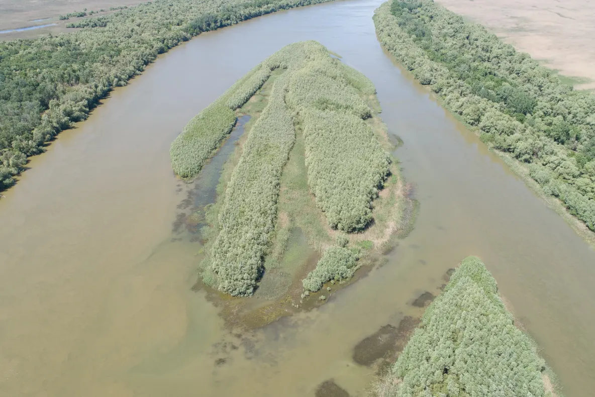 Insulele sălbatice și habitatele terestre dunărene monitorizate de ARBDD   
