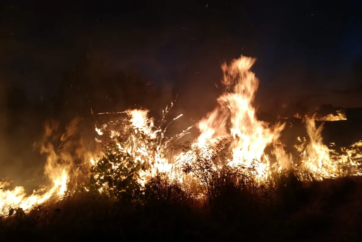 Foc în Lotizare, aproape de case, stins la timp de pompieri