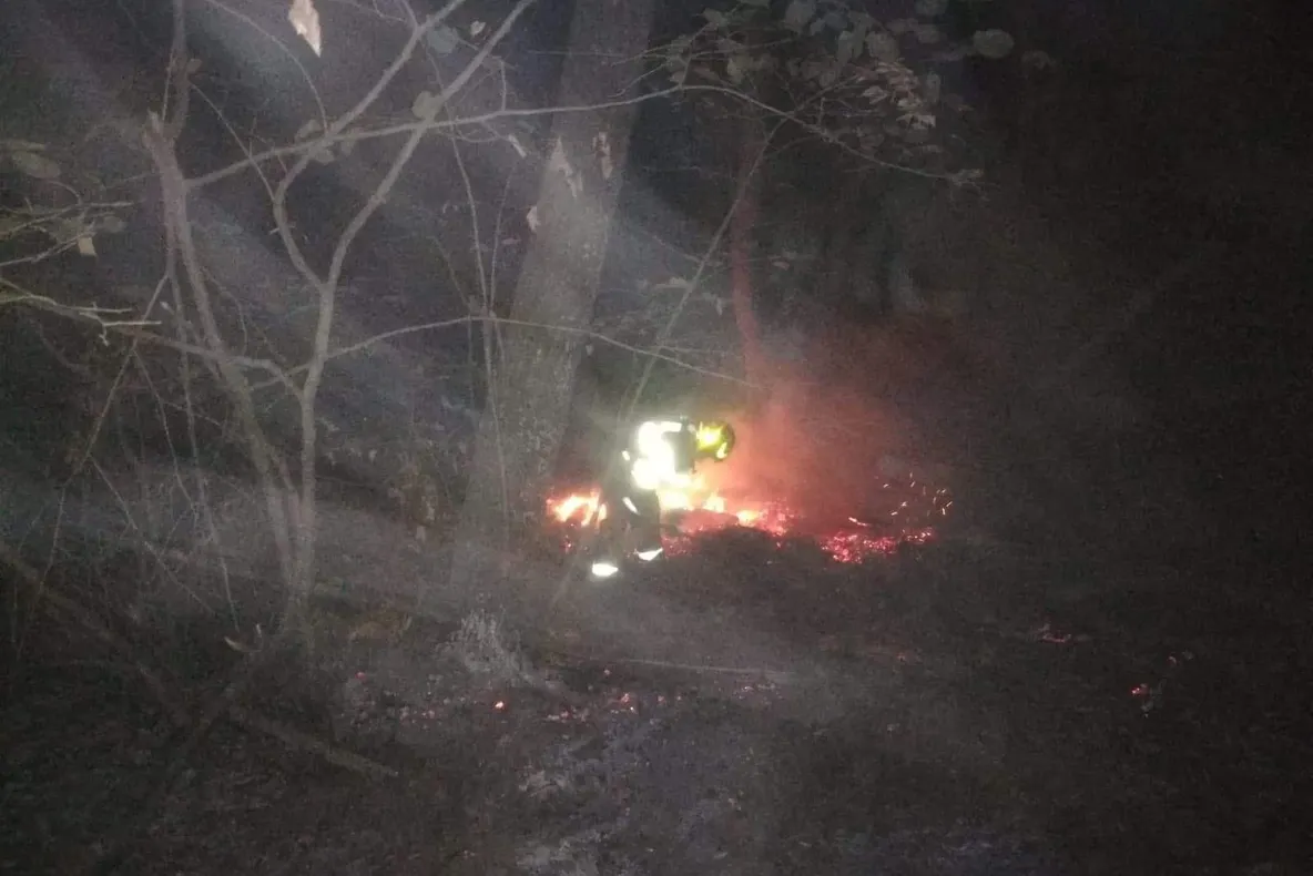 Incendiu pe Valea Fagilor