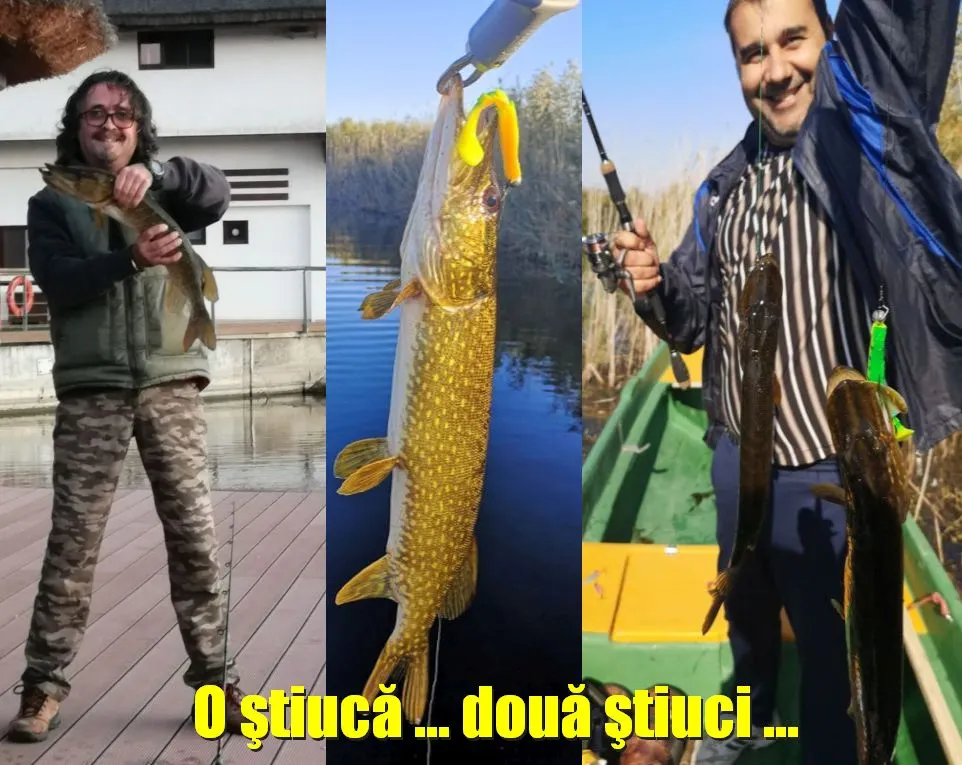Cupa Presei la pescuit în patria ştiucilor: Holbina - Trei Bibani