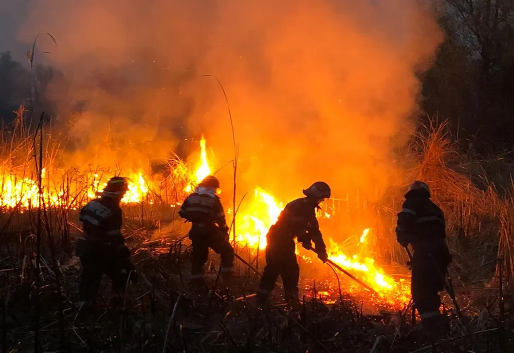 (VIDEO) Incendiu de proporţii la Pătlăgeanca, în Delta Dunării: focare dispersate pe 300 de hectare de hectare