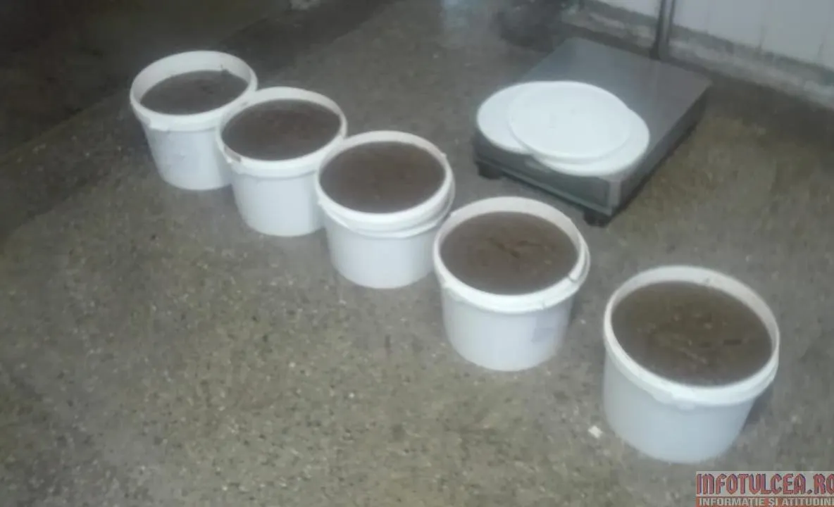 Polițiștii de frontieră au prins "peștele cel mare" cu 55 kg de icre