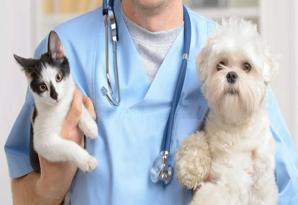 Medicii veterinari se alătură valului de proteste. Cer modificarea legii salarizării și o grilă proprie de venituri
