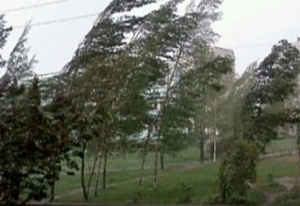 Alertă meteo. Cod galben de VÂNT în județele Constanța și Tulcea
