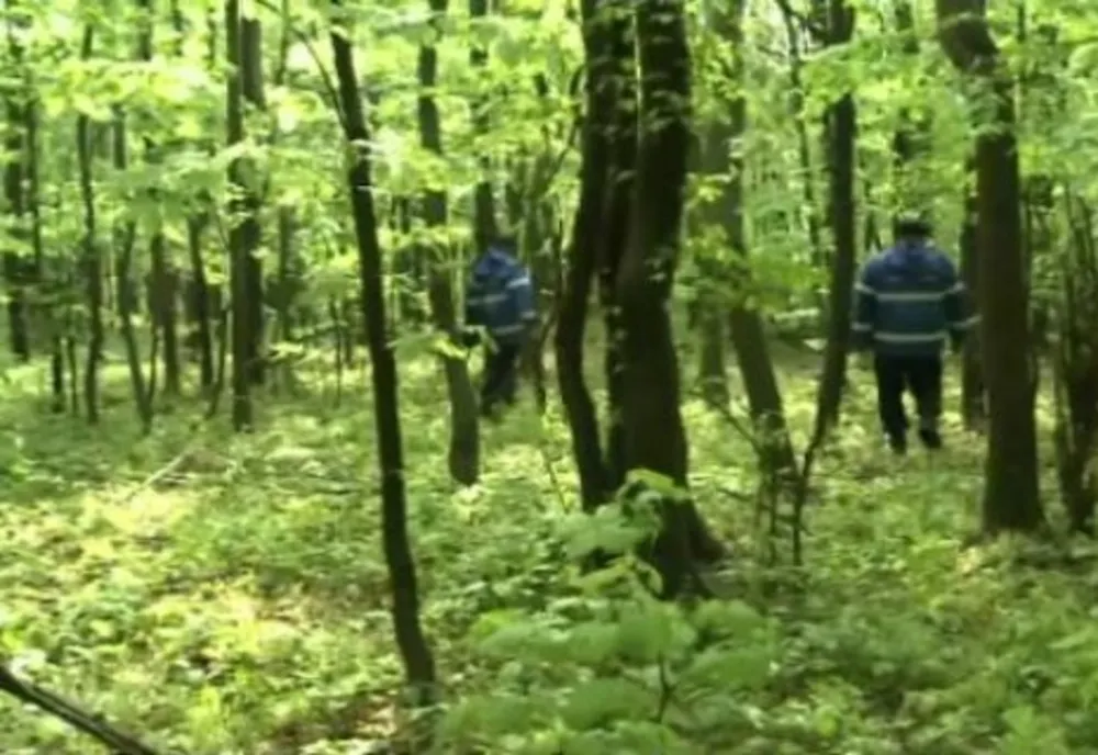 Rătăciți în pădure, găsiți de polițiști
