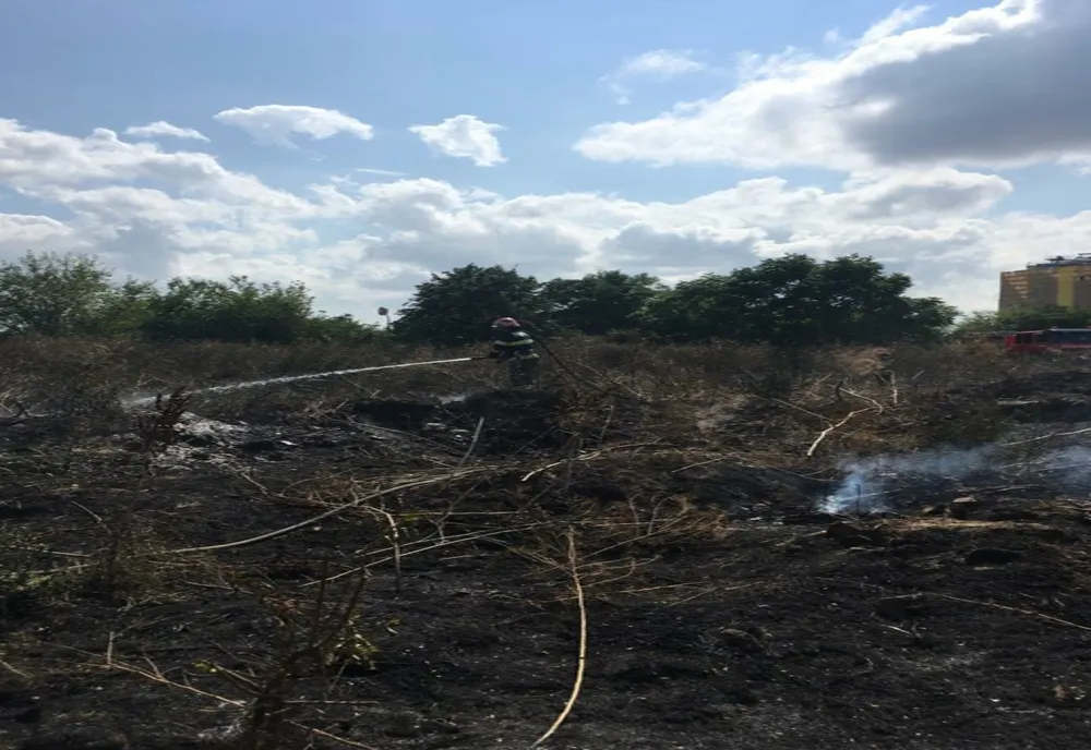 FOTO Incendiu de vegetație uscată în municipiul Tulcea