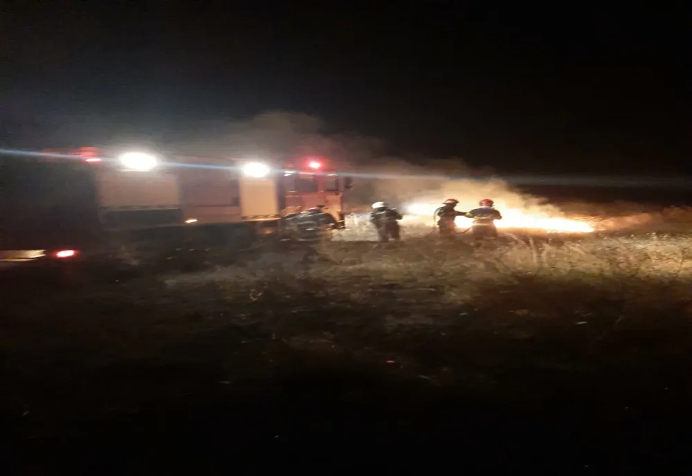 Incendiu de vegetație uscată la Sarichioi