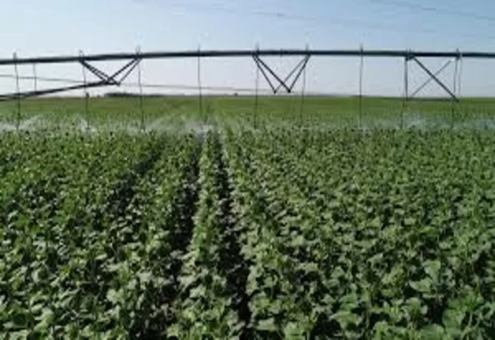 Fonduri de 105 milioane de euro pentru proiecte de infrastructură agricolă și silvică