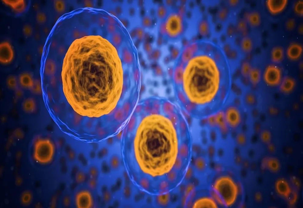 Vești bune! Cercetătorii israelieni au descoperit un sistem anticancer în celulele umane