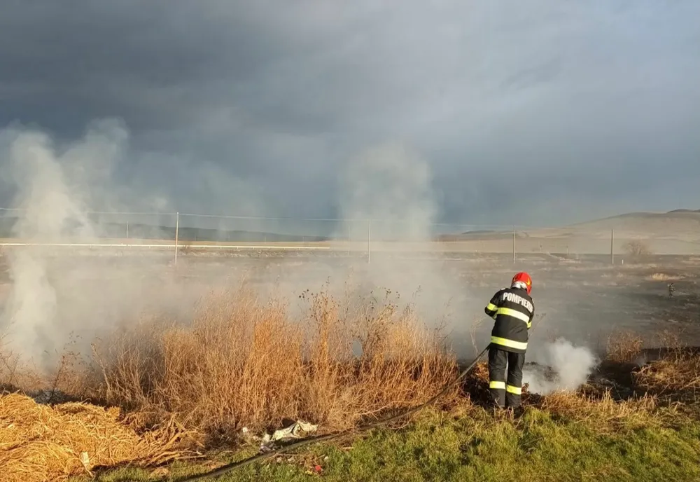 Incendiu puternic de vegetație uscată în apropiere de Traian