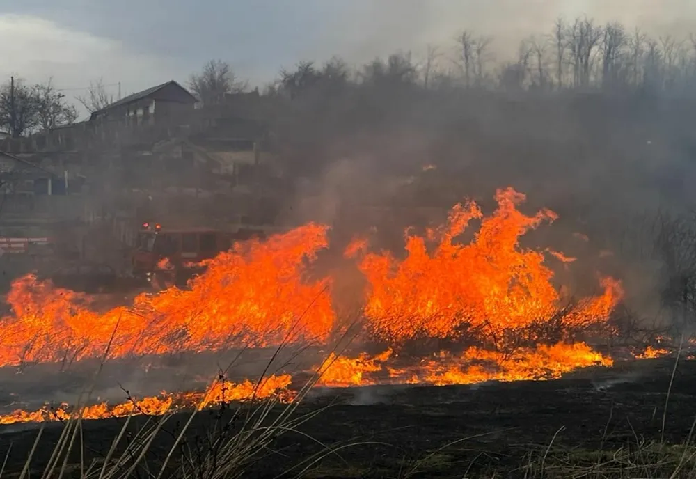 VIDEO Incendiu violent în zona Lacului Somova
