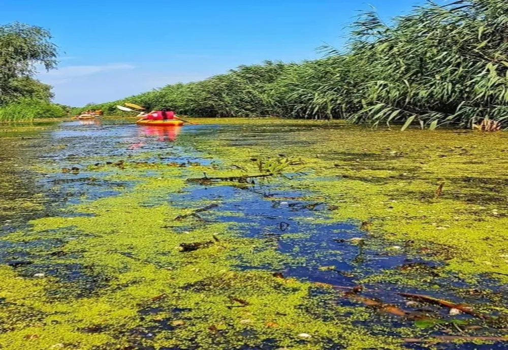 Lucrări de decolmatare în Delta Dunării