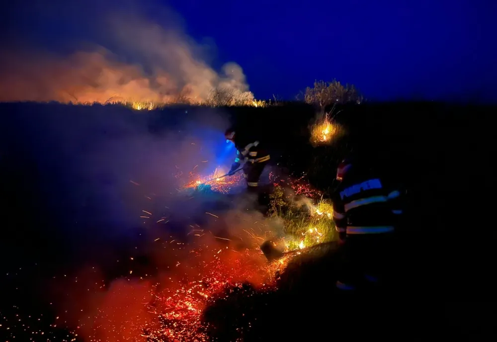 FOTO VIDEO Incendiu violent în apropierea viilor de lângă municipiul Tulcea