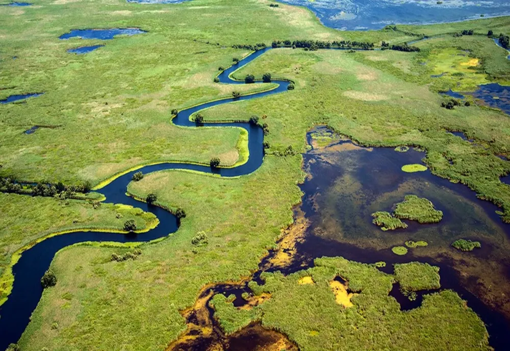 Ziua Rezervației Biosferei Delta Dunării, serbată la Tulcea