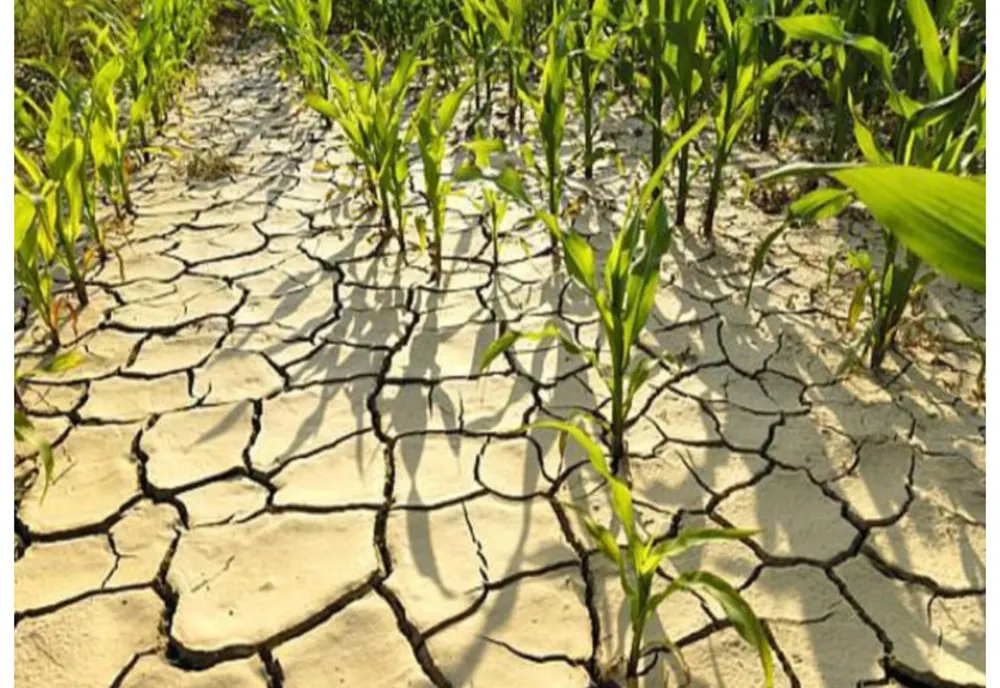 Europa, amenințată de o criză agricolă fără precedent