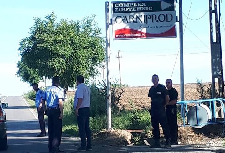 Un buldozer a intrat peste un SUV, in fața fermei Carniprod. Buldozeristul era beat și a fugit de la locul faptei