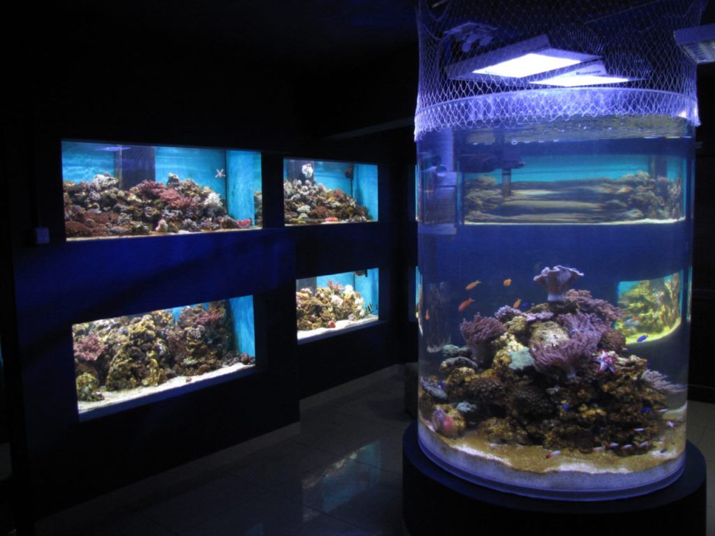 ICEM a modificat de azi programul de vizitare la câteva obiective