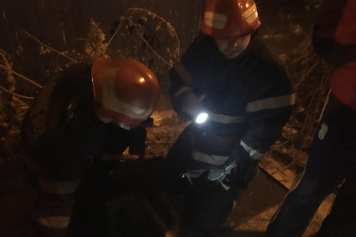 Un câine captiv de câteva zile într-un rezervor îngropat, a fost salvat de pompieri