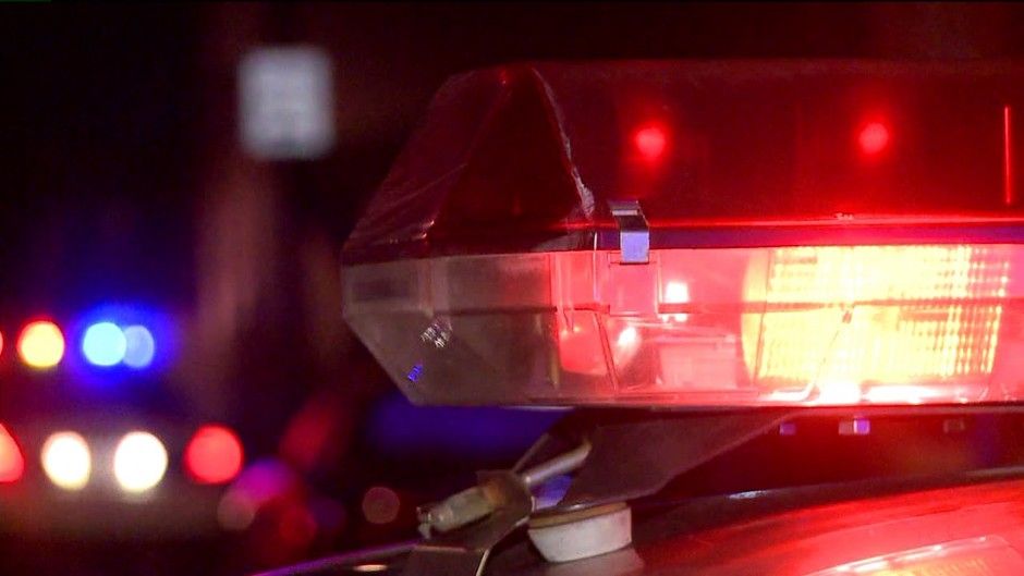 Tragedie la Mahmudia: Și-a împușcat concubina în față, apoi s-a sinucis cu o armă de vânătoare