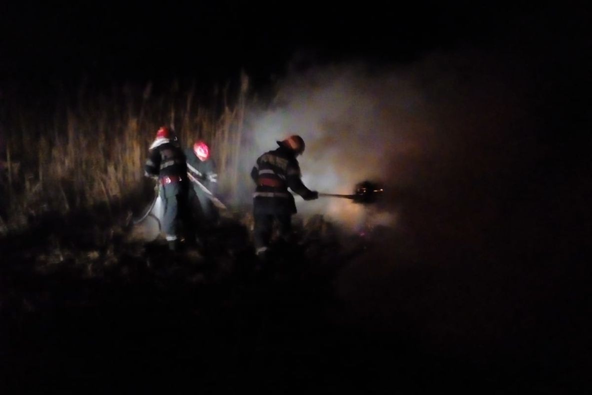 Ard două hectare de stuf la Victoria. O casă din apropiere este în pericol