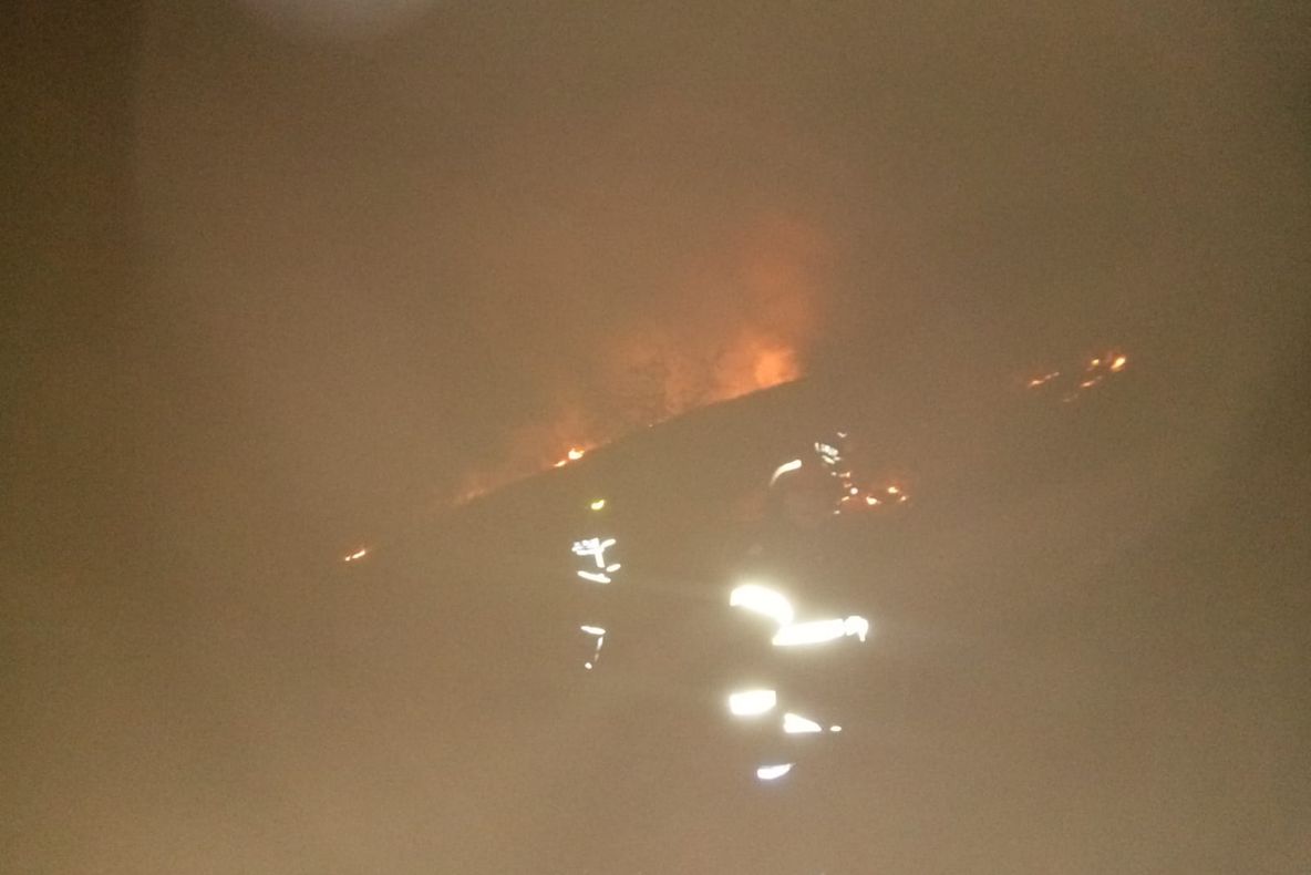 20 de hectare de vegetaţie au ars azi noapte între Somova şi Parcheş