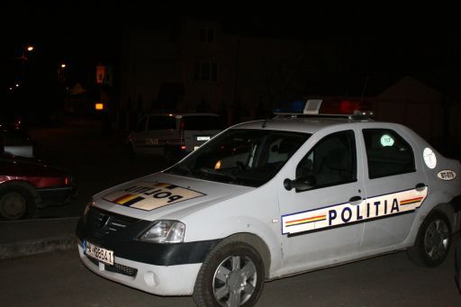 Minori de 10 și 13 ani, prinși la furat de către polițiștii din Isaccea