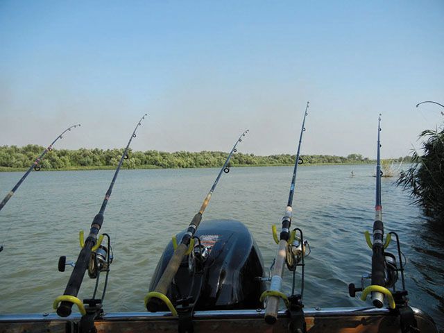 Noi reguli pentru pescuitul sportiv în Delta Dunării pentru 2019