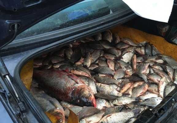 Braconier ajuns după gratii... pentru următoarele 80 de zile