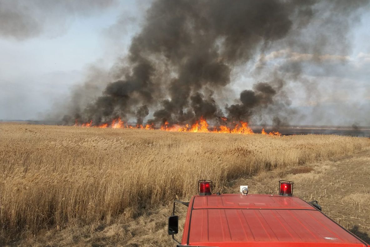 "Plouă" cu funingine peste oraş. Ard şapte hectare de stuf la Malcoci