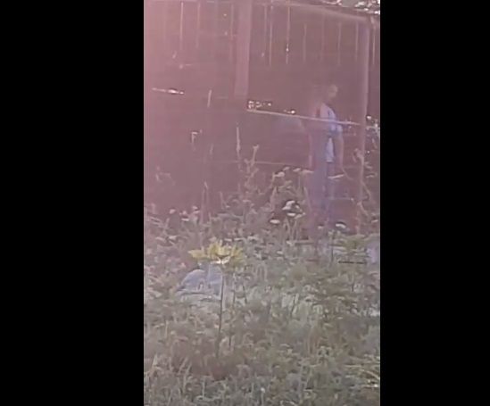 "Sipetul cu îngeri" se deschide azi la Casa Avramide