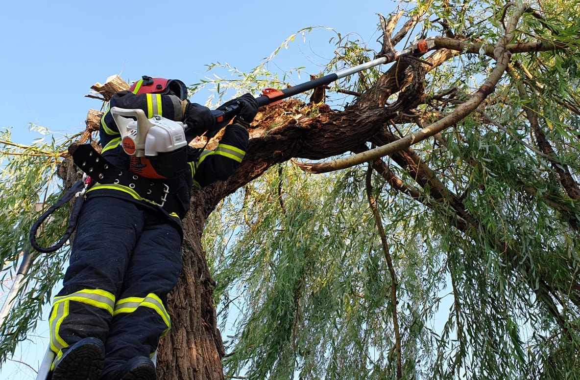 O femeie rănită de o creangă ruptă, a ajuns la spital