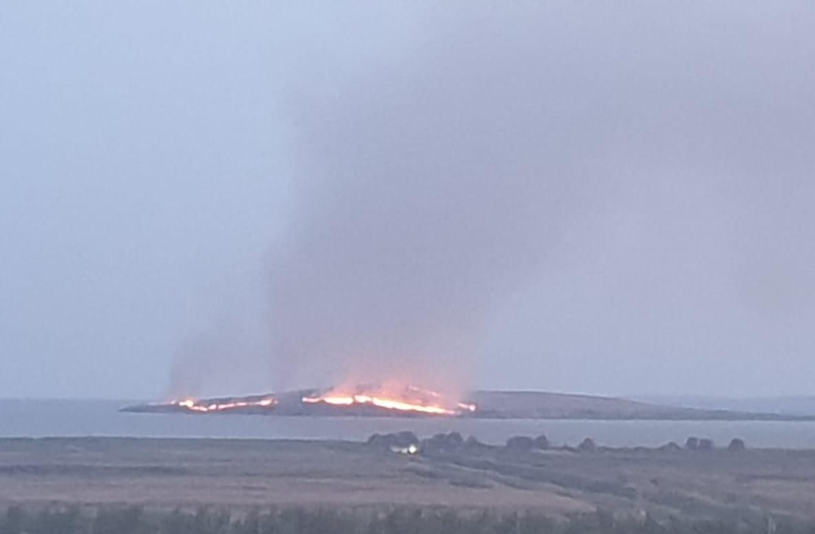 Incendiu stins în zona strict protejată Insula Popina