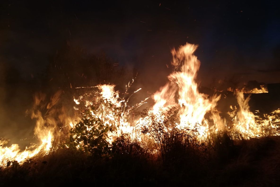 Foc în Lotizare, aproape de case, stins la timp de pompieri