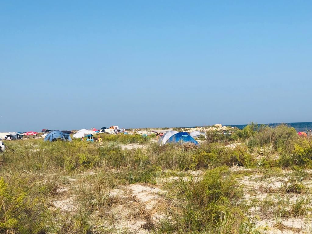 ARBDD intensifică acțiunile de control în zona Vadu