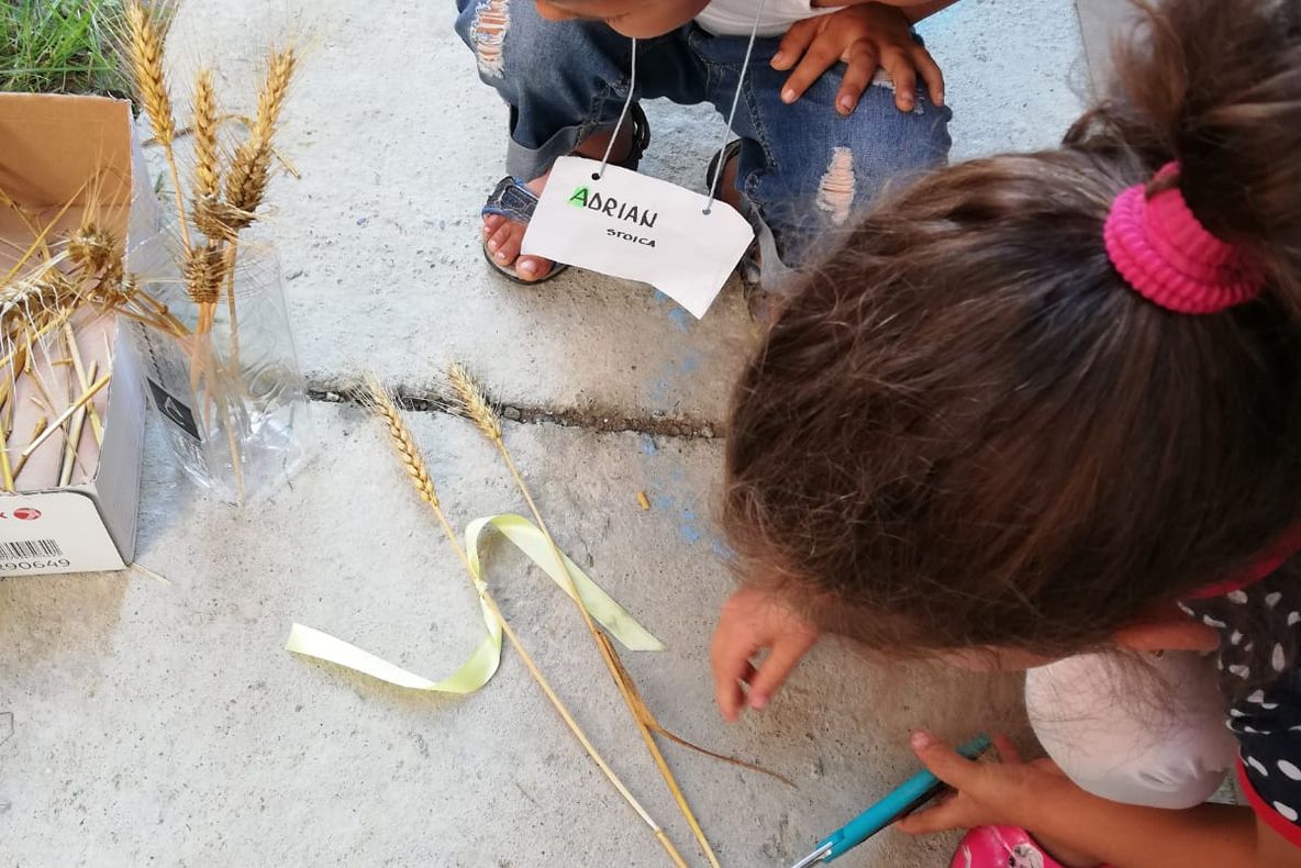 OvidiuRo - Atelierele de Vară Șotron 2019 la final