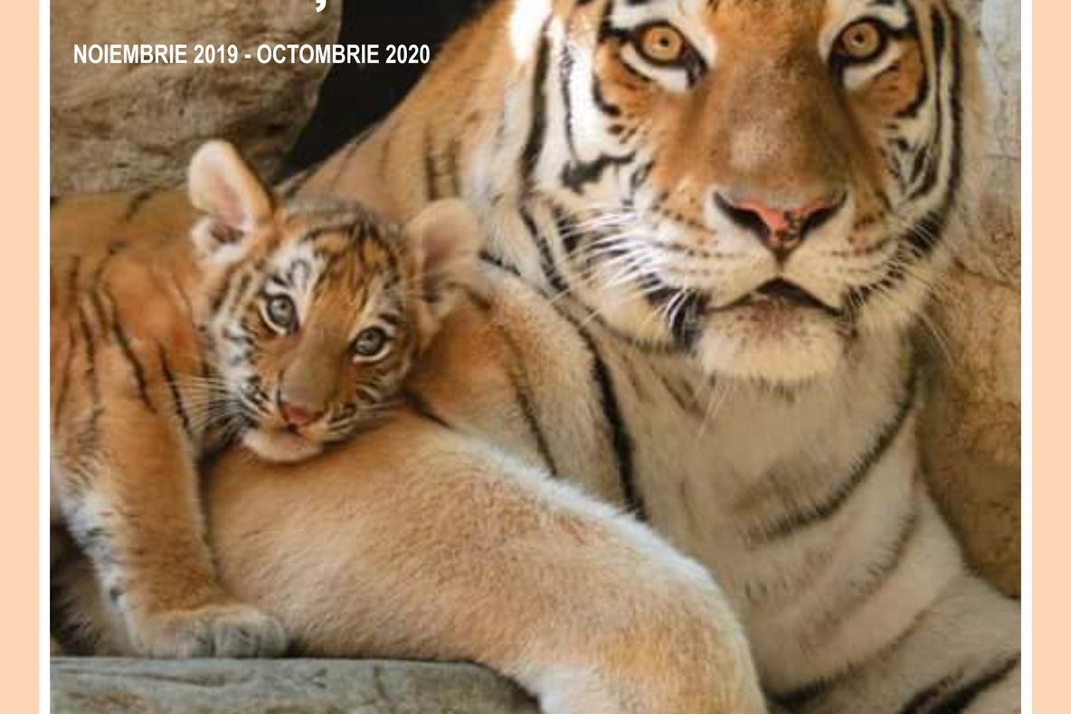 Expoziția ”MAME ȘI PUI”  la Centrul Muzeal Ecoturistic ”Delta Dunării”