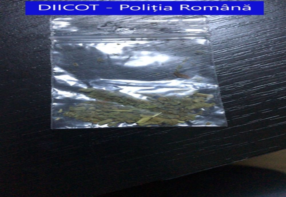 Doi bărbați din Tulcea au fost arestați preventiv, marți, după ce luni au plecat la Constanța, trecând în declarație că merg să cumpere bunuri de bază, dar s-au întors acasă cu droguri