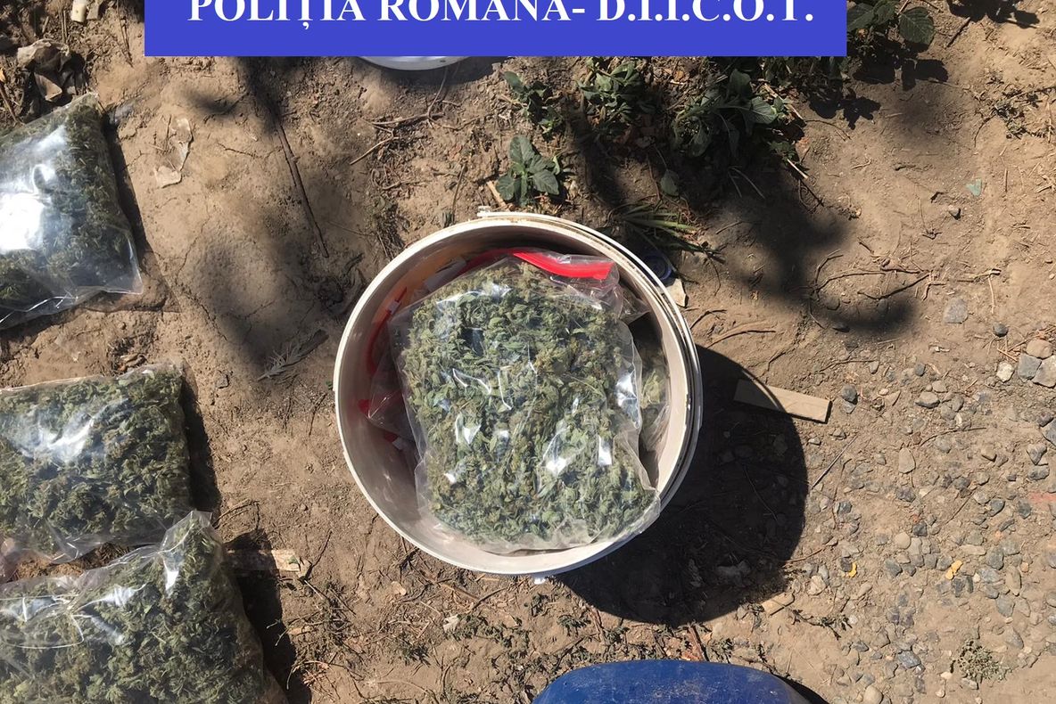 Trei tineri din Tulcea reținuți  pentru trafic de droguri