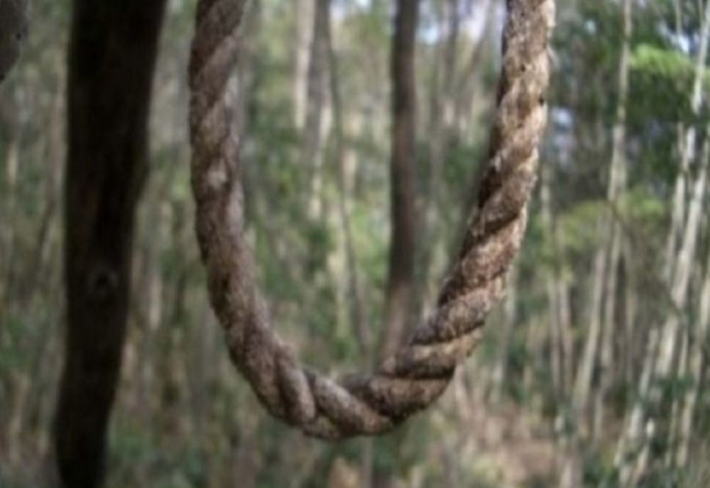 Bărbat găsit spanzurat într-o pădure din Tulcea